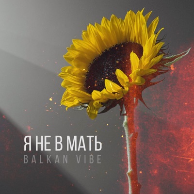 Я не в мать (Balkan Vibe) - Single