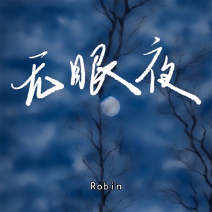 无眠夜 (伴奏)