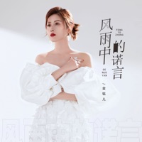 风雨中的诺言 (DJ默涵版) - Single - jenny
