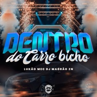 Dentro do Carro Bicho - Single - DJ Magrão ZN & Lukão Mec