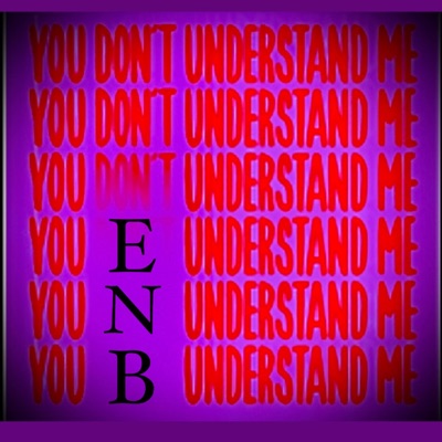 Dont Understand Me (feat. Bigbluedatruth) - Single