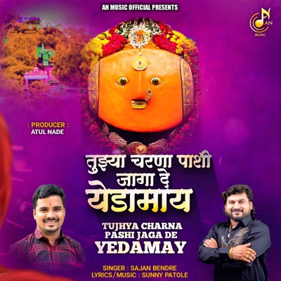 Tujhya Charna Pashi Jaga De Yedamay - Single