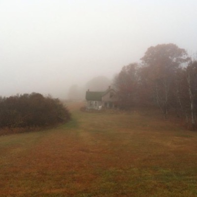 I'm Sorry For Everything - Single