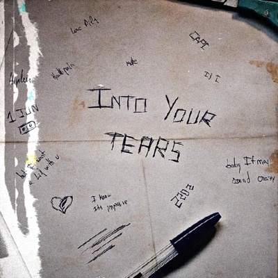 Into Your Tears (feat. loverboy & cimor) - Single