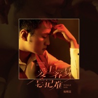 爱上容易忘记难 - Single - 杨顺高