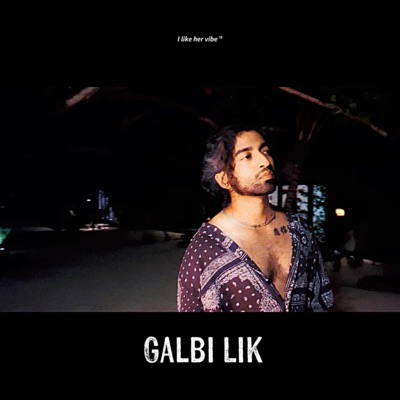 Galbi Lik. (feat. I like her vibe) - Single