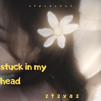 ztzxaz - Stuck in my head