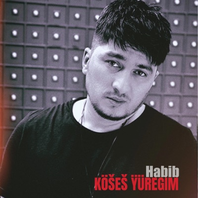 Habib (Kosesh yuregim) - Single
