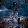 Palalo (feat. Numerhus) - Single