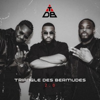 Album cover for Triangle des bermudes 2.0 (feat. Kokosvoice, MC YOSHI & Mauvais Djo) by TRIANGLE DES BERMUDES