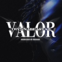 VALOR (feat. TrynnaBeaStar) - Single - Freesesh