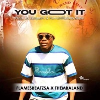 U GOT IT (feat. THEMBERLAND) - Single - FlamesbeatzSA