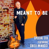 Meant to Be (feat. Chieli Minucci) artwork