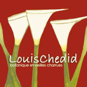 Botanique et vieilles charrues  cover