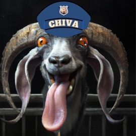 Chiva Daryelo Sanchez