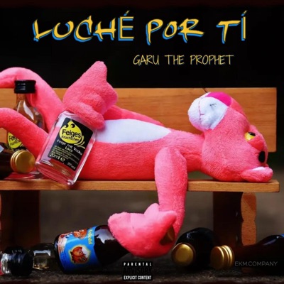Luché Por Tí - Single
