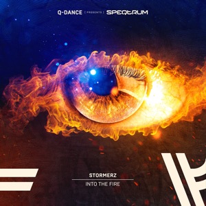 Into the Fire - Single