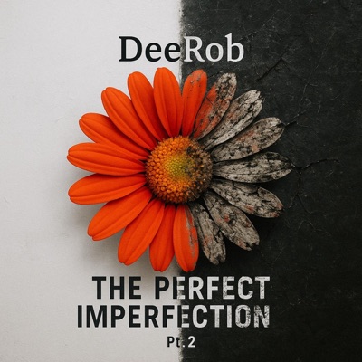 The Perfect Imperfection, Pt. 2