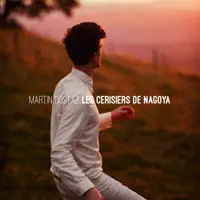 Les Cerisiers De Nagoya — Martin Costaz