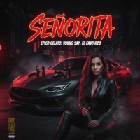 Señorita (feat. Epico Gelato, El Favo R20 & Young Say) - Single - Budda Music