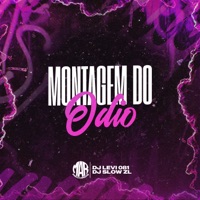 MONTAGEM DO ÓDIO - Single - DJ Levi 081 & DJ Slow ZL