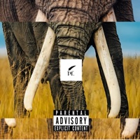 ELEPHANT TUSK (feat. Shade Cobain & Audio Messiah) - Single - Fam Ross & Arsinel