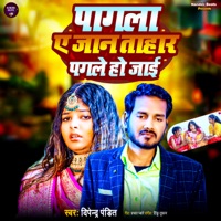 Pagala A Jaan Tahar Pagale Ho Jai - Single - Dipendra Pandit, Tinku Tufan & Prabhat Pyare