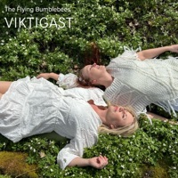 Viktigast - Single - The Flying Bumblebees