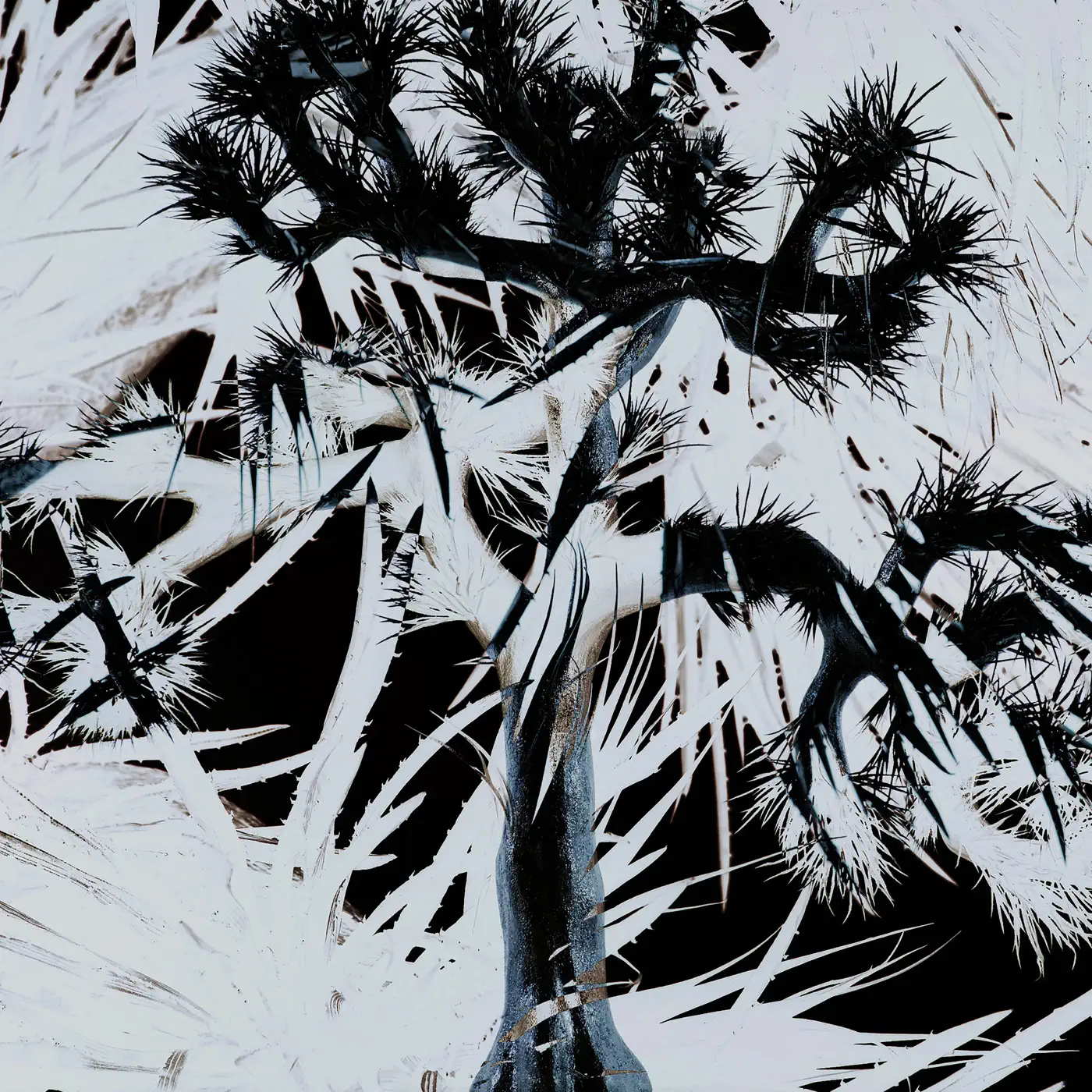 Plastic Tree - album by Plastic tree