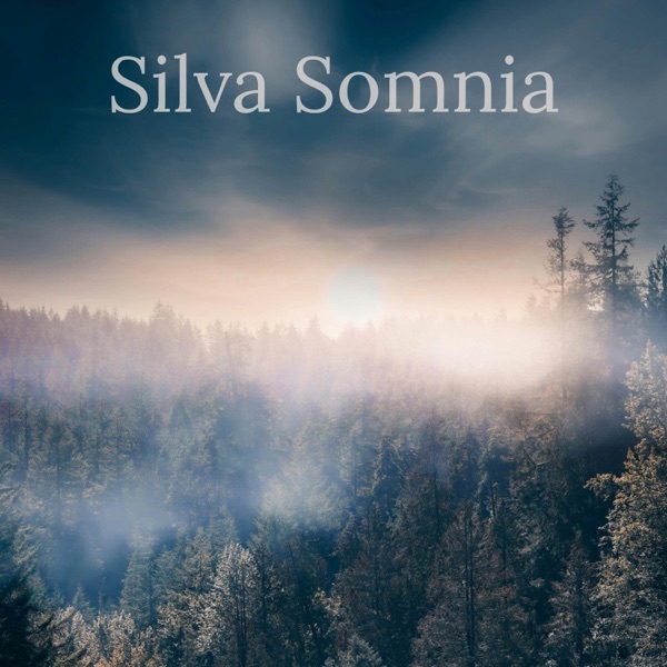 Silva Somnia