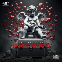 No Soy Perfecto - Single - LUAN ÁLVAREZ