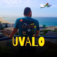Album cover for uValo (feat. Dlala Thukzin) [Mixed] by Thukuthela, JAZZWRLD & Babalwa M