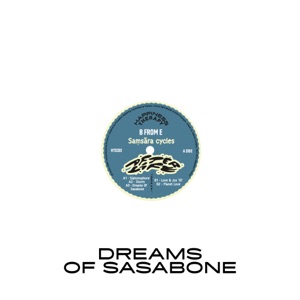 Dreams Of Sasabone - Single