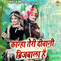Kanha Teri Deewani Brijbala Hai - Single - Teena & Sunil Chouhan
