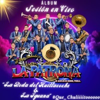 La boda del huitlacoche y la iguana - Single - Banda La Patrona de Acatlan