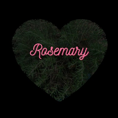 Rosemary - Single