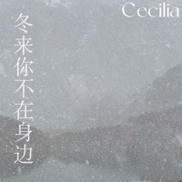 冬来你不在身边 - Single - Cecilia