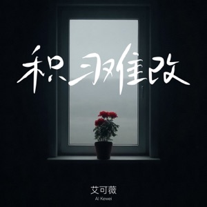 积习难改 - Single