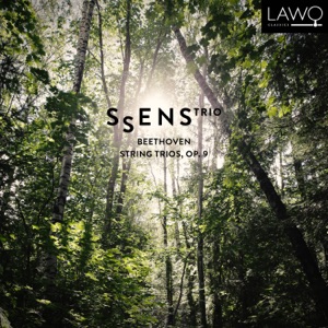 String Trio in C Minor, Op. 9 No. 3: I. Allegro con spirito