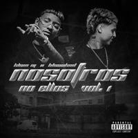 Nosotros, No Ellos (Freestyle), Vol. 1 (feat. Blesskod) - Single