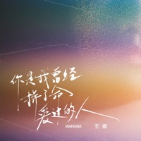 你是我曾经拼了命爱过的人 - EP - Wang Na