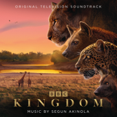 Kingdom (Original Television Soundtrack)