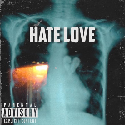 Hate Love - Single