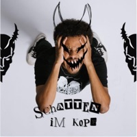 Schatten im Kopf - Single - Divided Black