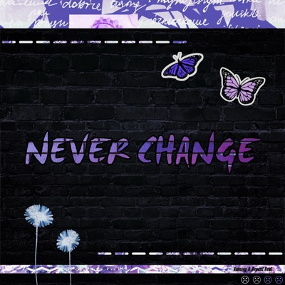 Never Change - Single