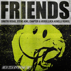 Friends (feat. Steve Aoki) [Luca Agnelli Remix]