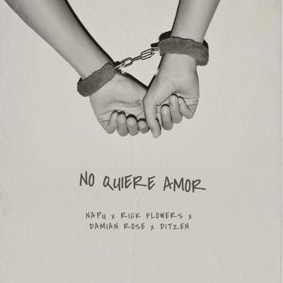 No quiere amor (feat. Rick Flowers, Damian Rose & Ditzen) - Single