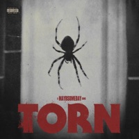 Torn - Single - Maybsomeday