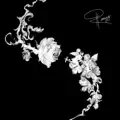 La rose ou l'aubépine