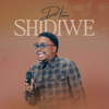 Dr Tumi - Shidiwe (Live) artwork